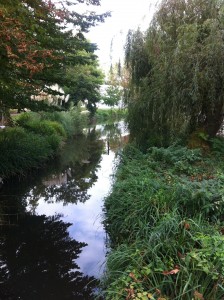 Peugue