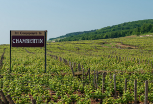 Gevrey-Chambertin