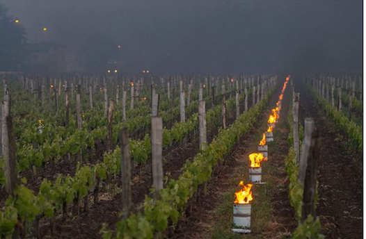 Braseros-à-St-Emilion