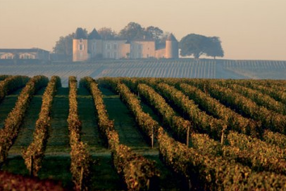 CHATEAU d’YQUEM WILL NOT MAKE 2012