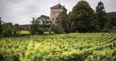 COMMENT CHÂTEAU GEVREY-CHAMBERTIN EST DEVENU CHINOIS