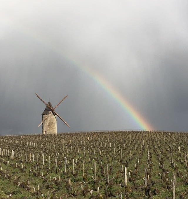 DÉCONFINEMENT: 7ème ‘CUVÉE MTONVIN’